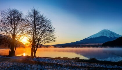 朝日が昇り、シルエットとなった木々が静かな冬の風景を演出する幻想的な一瞬