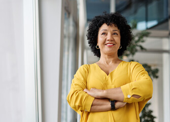 business meeting businesswoman woman office portrait entrepreneur smart confident happy colleague...