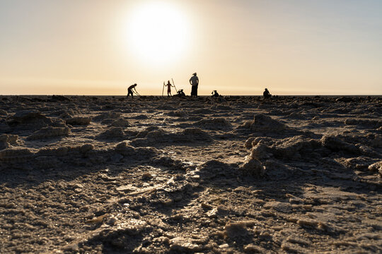 Afar salt workers cutting salt blocks for transport, salt mining at Assale Salt Lake near Hamadela, Danakil Depression, Afar Region, Ethiopia