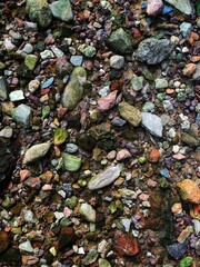 River stones, natural stones, River stones background.
