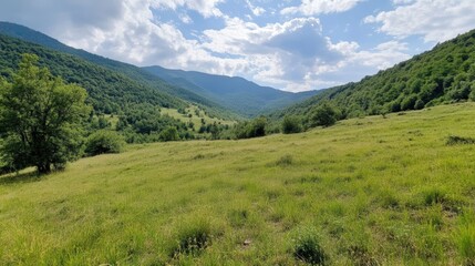 Fototapeta premium Lush green valley landscape under a bright blue sky in the mountains