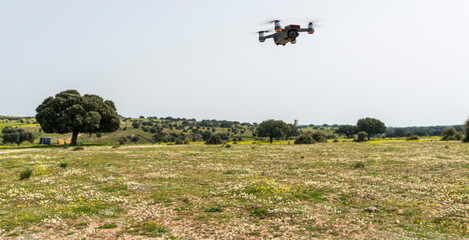 dron sobrevolando campos en flor primavera 2024