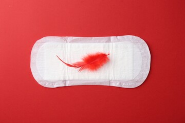 Menstrual pad with feather on red background, top view