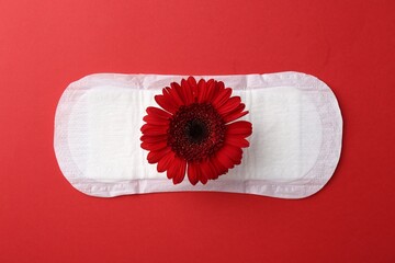 Menstrual pad with flower on red background, top view