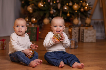 Twin children are sitting on the floor near the Christmas tree. Children are pulling golden balls in their hands.