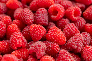 Close-up of fresh ripe raspberries with vibrant red color, showcasing the detailed texture and juiciness of each berry. Healthy eating, organic produce and refreshing seasonal fruits