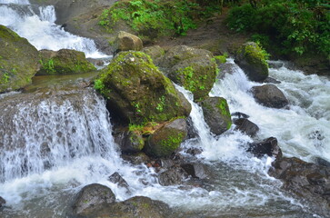 waterfall in the forest