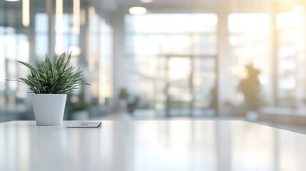 Minimalist Office Desk with Plant and Blurred Background