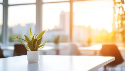 A potted plant on a white table in a bright room with a blurred cityscape and sunny windows in the background.