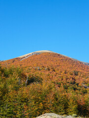 Exploring the south of Chile, especially Carretera Austral, during autumn is a very 'colourful' experience.