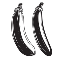 Zucchini in cartoon, doodle style . Image for t-shirt, web, mobile apps and ui. Isolated 2d vector illustration in logo, icon, sketch style, Eps 10, black and white. AI Generative
