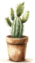 Watercolor illustration of a green cactus in a brown pot.
