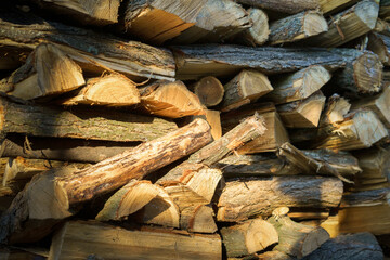 Pile of wood logs with some of them being cut. The logs are stacked on top of each other