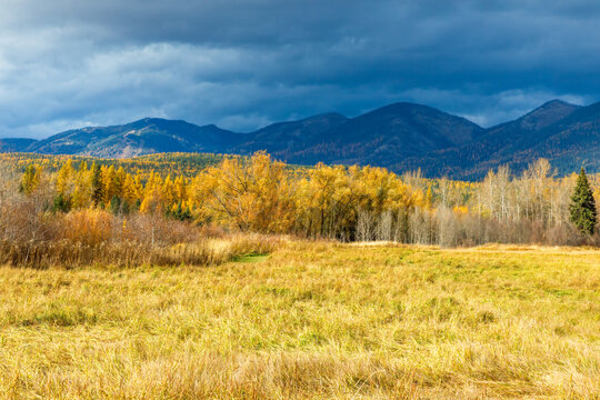 Autumn foliage with mountain background