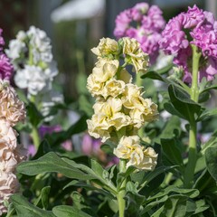 10月の終わりに