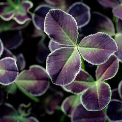 10月の終わりに