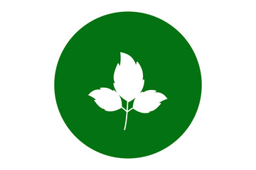 Leaf icon vector logo template ,eco leaf design