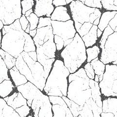 Obraz premium A textured pattern resembling cracked or weathered surfaces in black and white.