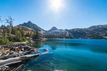 Log Jam At Alpine Lake