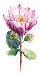 A watercolor painting of a pink cactus flower with green leaves and buds.