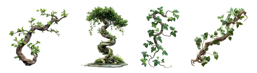 Various styles of twisting vine plants with lush green leaves.