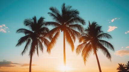 Obraz premium Serene Sunset Over Palm Trees by the Ocean