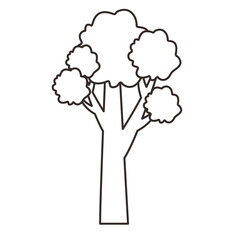 Tree Line art Hand drawn illustration 