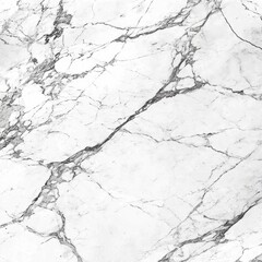 A close-up view of white marble with gray veining, showcasing its natural texture and patterns.