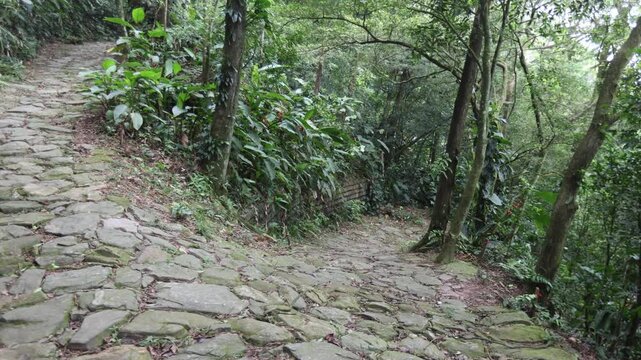 Cal&ccedil;ada do Lorena section in Serra do Mar - stone pavement built in 1792 for transporting people and goods between the coast and the interior