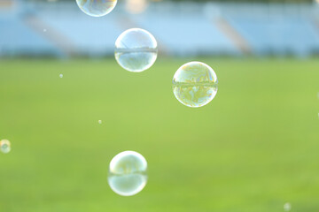 Beautiful soap bubbles floating above green grass