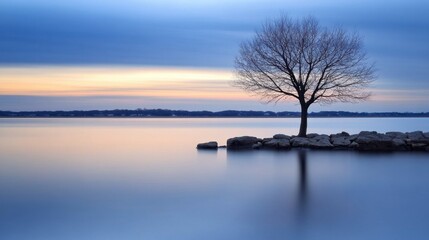 Serene Tree by Tranquil Water at Dusk