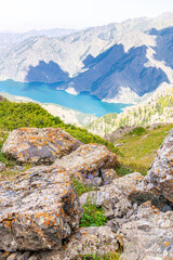 The flower on the foreground of the Heaven Lake of Tian Shan, a World Heritage site in Xinjiang