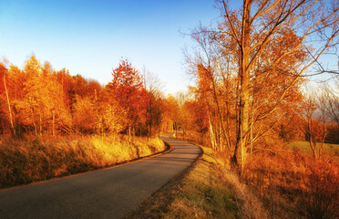 Obraz premium road in autumn