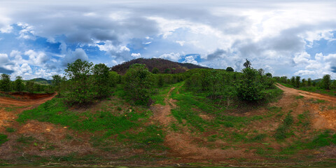 Fototapeta premium 360 degree photo of coffee plantation on mountain farm
