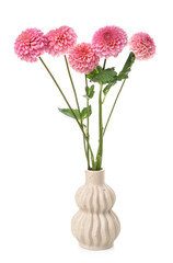 Vase with beautiful pink dahlia flowers on white background