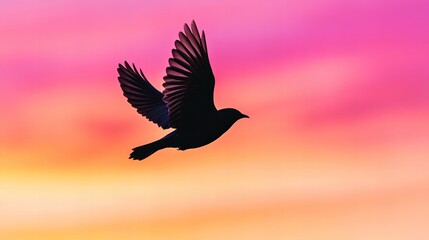 Obraz premium A single bird flies against a vibrant pink and orange sunset sky.