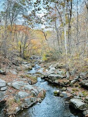 river in autumn forest