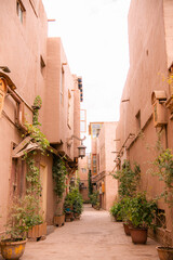 The flowers in the pots and the terracotta walls of Kashgar Old town, Xinjiang, China