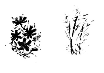 イラスト素材（花・植物）