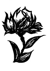 イラスト素材（花・植物）