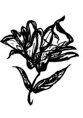 イラスト素材（花・植物）