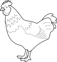 Chicken outline
