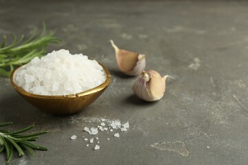 Sea salt in bowl, rosemary and garlic on grey table, closeup