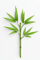 Naklejka premium A fresh green bamboo branch against a clean white background, showcasing vibrant leaves and sturdy stalks.