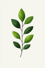 Fototapeta premium A vibrant illustration of a green leaf branch with various shades of green against a light background.