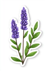 Naklejka premium Delicate lavender flowers with vibrant purple blooms and green leaves, depicting calm and tranquility.