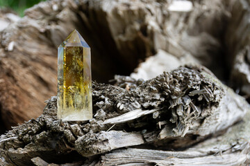 A close up image of a citrine crystal tower on a old driftwood log. 