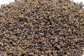 Dried zanthoxylum rhetsa (Roxb.) DC.
