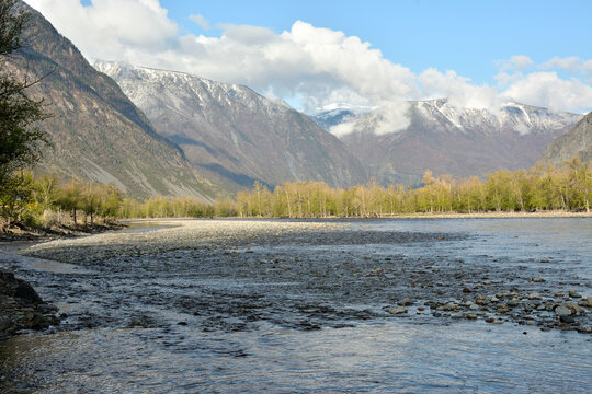 A stormy stream of a swift shallow river flows along the forest at the foot of snow-capped mountains with peaks in the clouds on a sunny spring day.