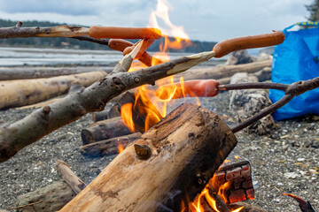 cooking hot dogs over a campfire